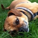 Profile picture of Jack Jock